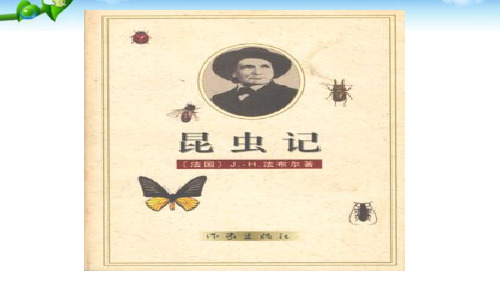《昆虫记》 PPT课件