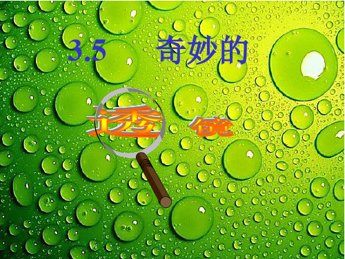 沪粤物理八年级上册第三章  5. 奇妙的透镜(共22张PPT)