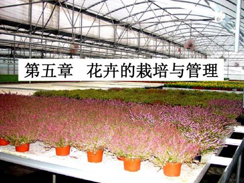 第五章 花卉的栽培管理