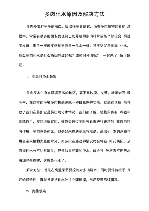 多肉化水原因及解决方法