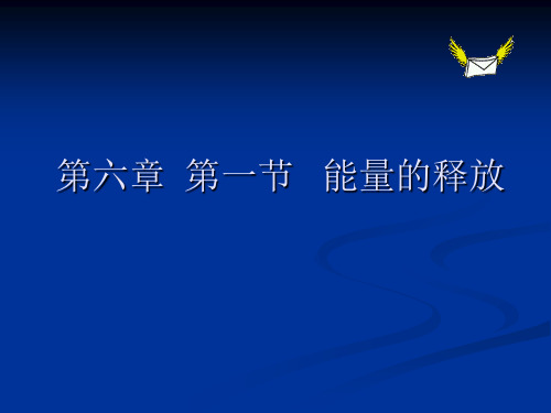 苏科版生物七上7.1《能量的释放和利用》配套教授课件(共21张PPT)