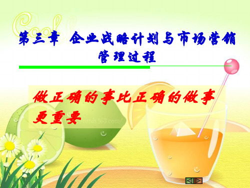 企业战略计划与市场营销管理过程