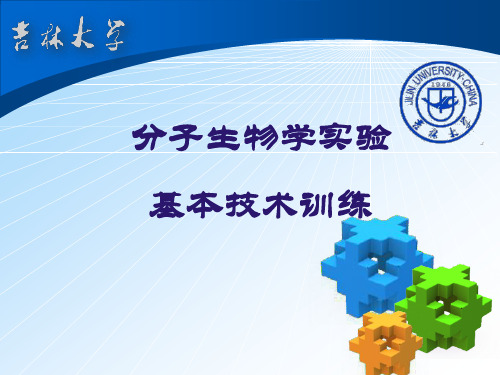分子生物学实验基本技术训练