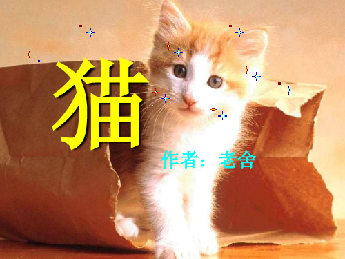 老舍《猫》ppt课件(全课)