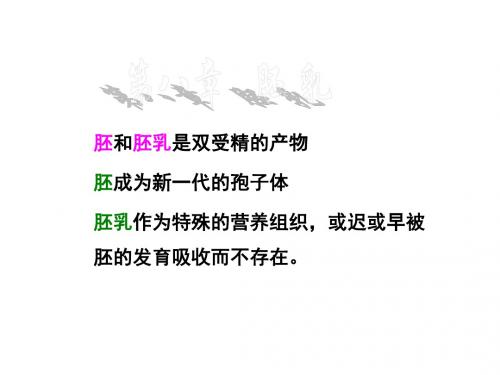 植物生殖生物学课件第八章 植物胚乳的发育类型