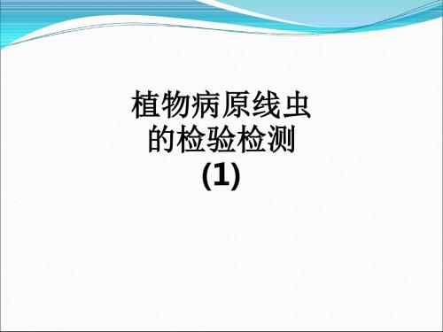 植物病原线虫的检验检测 (1)ppt课件
