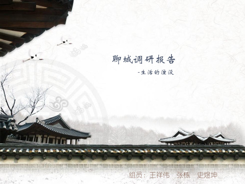 聊城古城区调研报告