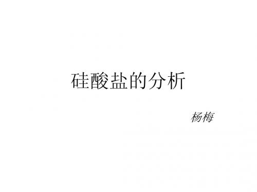 硅酸盐的分析