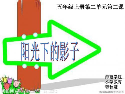 四年级科学上册4.2阳光下的影子PPT课件4新人教版