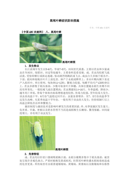 黑尾叶蝉症状防治措施