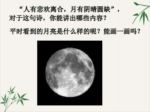 浙教版科学七下4.4月相同步讲授课件