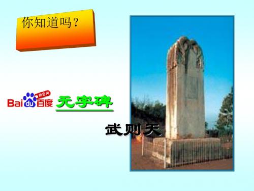 气度恢宏的隆盛时代PPT课件2 北师大版