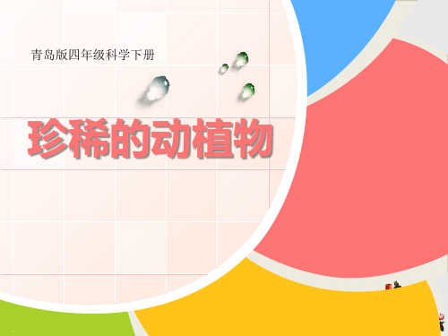 珍稀动植物_PPT