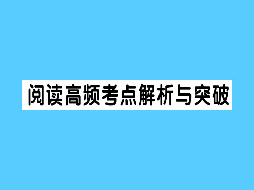 阅读高频考点解析与突破语文课件PPT