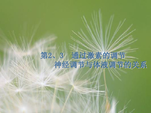 神经调节和激素调节PPT教学课件