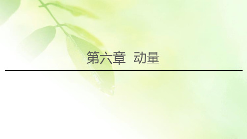 2021届山东新高考物理一轮复习课件：第6章 第1节 动量和动量定理