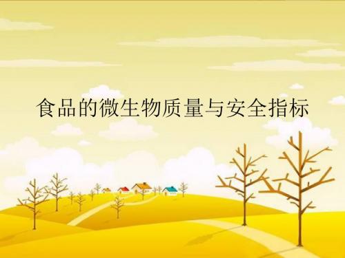 食品的微生物质量与安全指标PPT课件