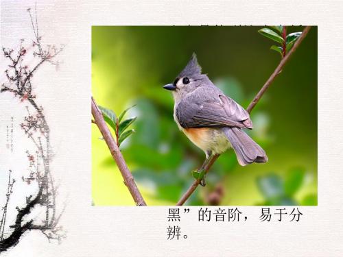 语文S版语文三年级上册《山雀》PPT课件4