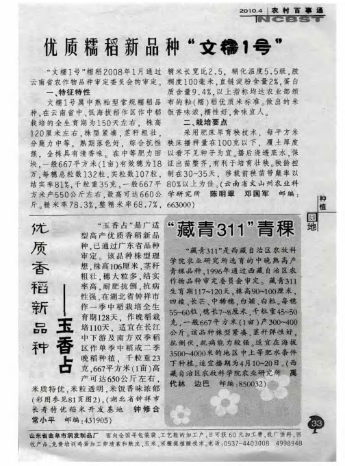 优质糯稻新品种“文糯1号”