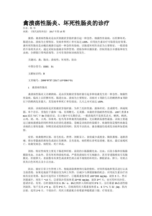 禽溃疡性肠炎、坏死性肠炎的诊疗