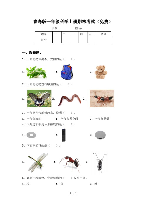 青岛版一年级科学上册期末考试(免费)