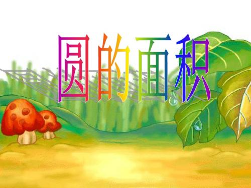 圆的面积