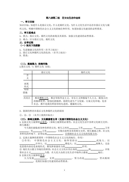 第八课第二框  在文化生活中选择