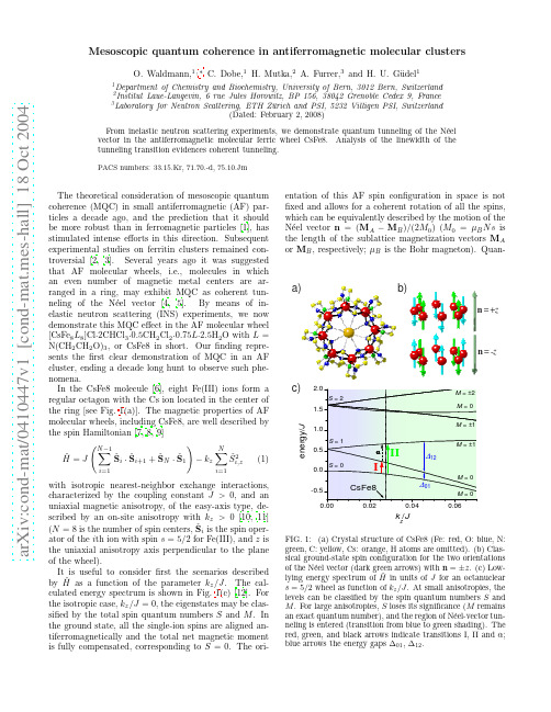 Mesoscopic quantum coherence in antiferromagnetic molecular clusters