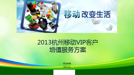 移动VIP客户增值服务方案(ppt 28页)