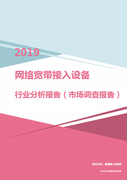 2019年网络宽带接入设备行业分析报告(市场调查报告)