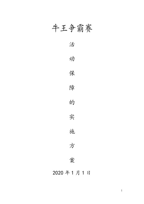 斗牛活动方案模板