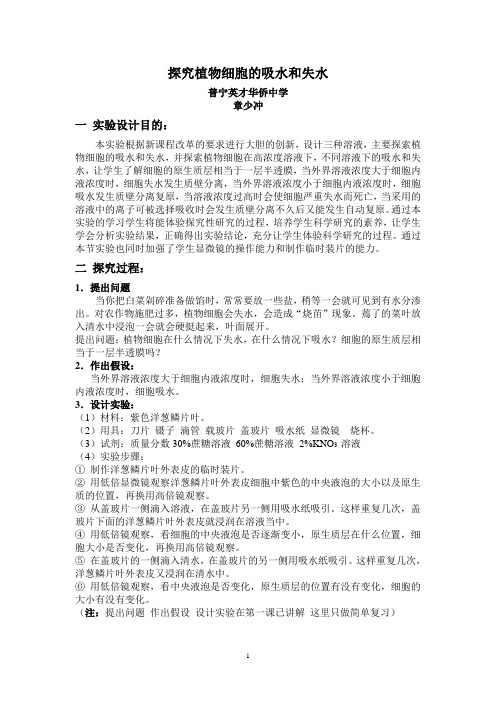 探究植物细胞的吸水和失水