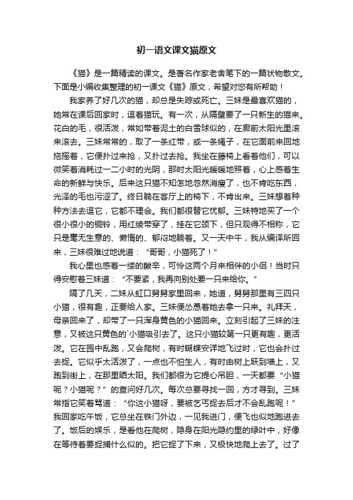 初一语文课文猫原文