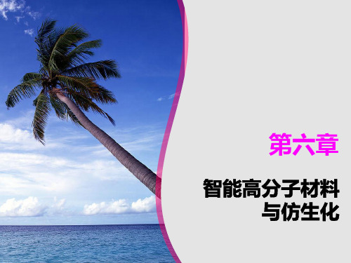 智能高分子材料与仿生化ppt课件