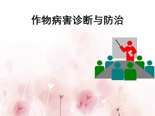 植物病害诊断的技术与防治