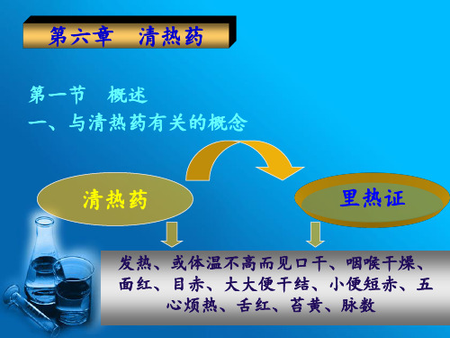 6第六章  清热药1(1)