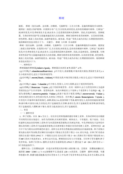 榉树