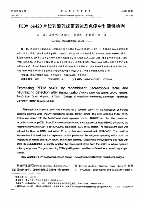PEDVps420片段乳酸乳球菌表达及免疫中和活性检测