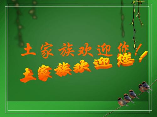 土家族概况