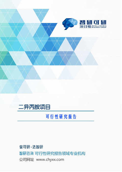 二异丙胺项目投资现状及研究分析报告