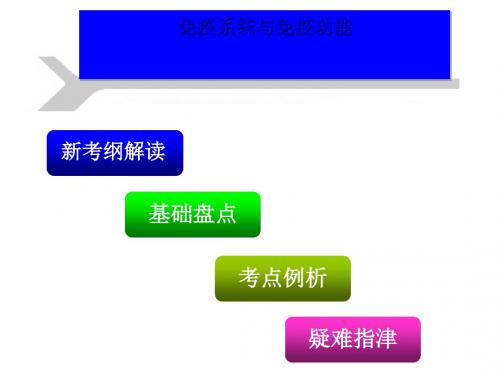 免疫系统与免疫功能ppt