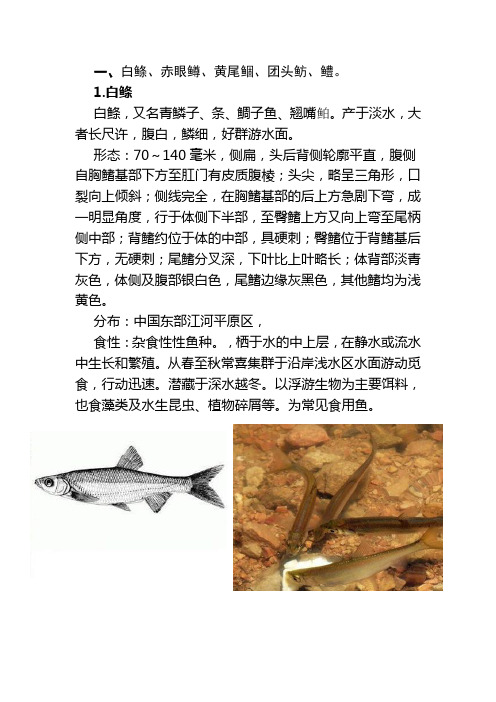 白鲦、赤眼鳟、黄尾鲴、团头鲂、鳢