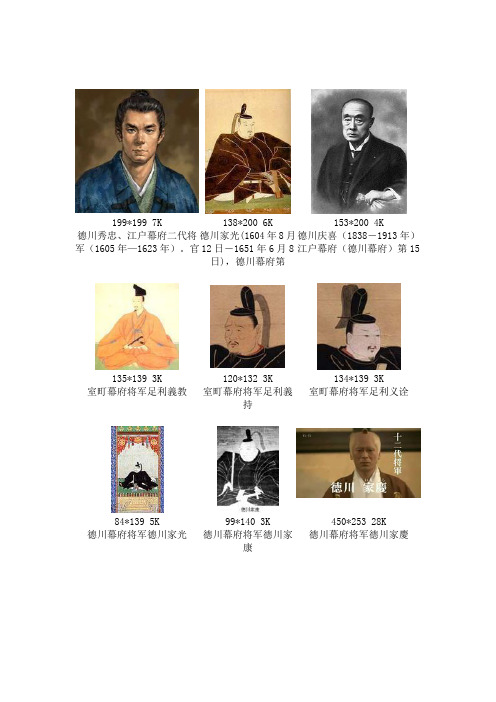 幕府将军