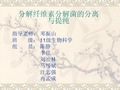 分解纤维素的分解菌的分离与提纯