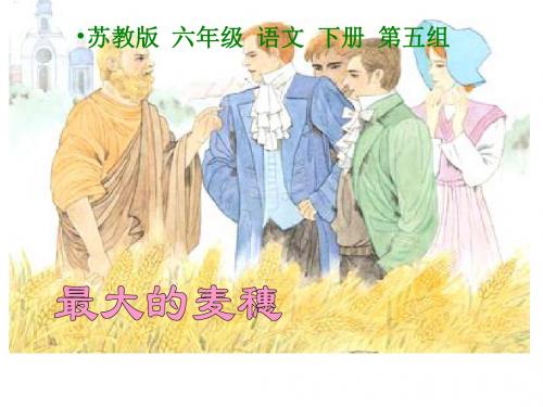 苏教版六年级下册语文《最大的麦穗》课件PPT