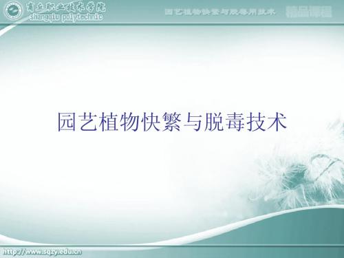 任务七：植物脱毒技术