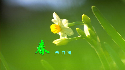 《春》朱自清