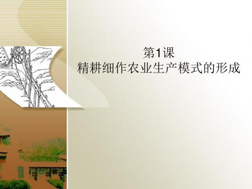 第1课  精耕细作农业生产模式的形成  说课