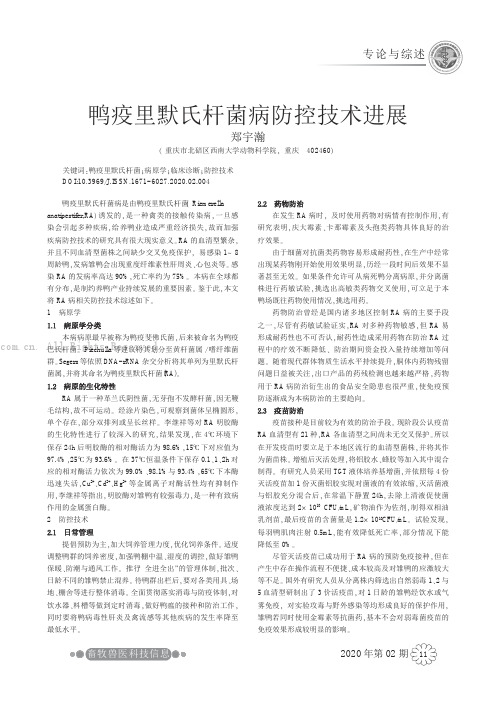 鸭疫里默氏杆菌病防控技术进展