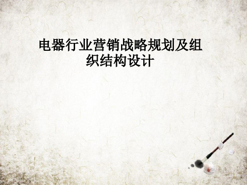 电器行业营销战略规划及组织结构设计